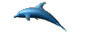 gif4